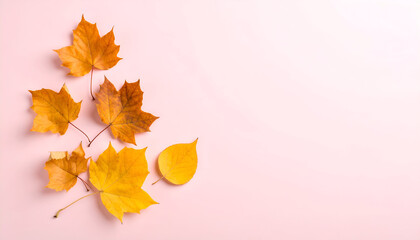 Golden Autumn Leaves on Pink Background