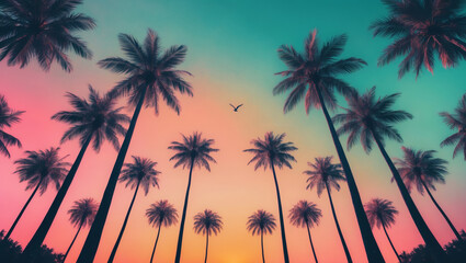 Fototapeta premium Palm Avenue at Sunset