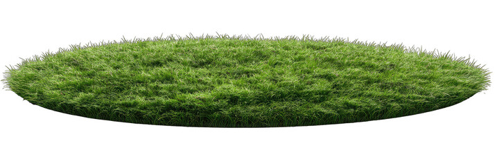 Oval patch of green grass