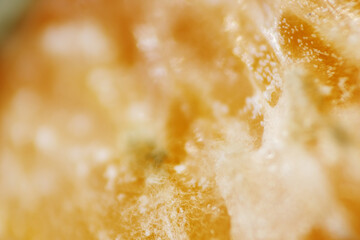 Postharvest decay of citrus fruit is green mold caused by the fungus Penicillium digitatum Sacc