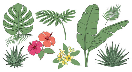 Botanical tropical assortment displaying monstera, hibiscus, banana leaves, plumeria in a vector graphic image