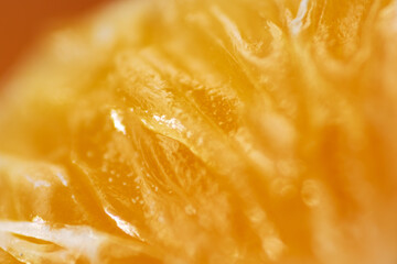 Macro shot of white fungus or mold on orange fruit pulp