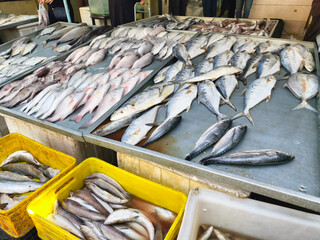 Mashhad, Iran - August 18, 2025: A Variety of Fresh Fish on Display