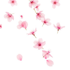 Fototapeta premium Pink Flower Petals Falling: Elegant Nature Photography