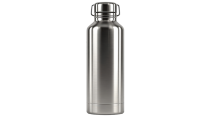 Sleek brushed stainless steel water bottle with a tall cylindrical body and a secure wire bail swing-top lid.