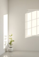 empty room with window