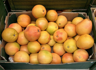 Fresh, ripe grapefruits piled together in a green wooden crate, showcasing vibrant colors and textures, ideal for healthy eating and culinary inspiration