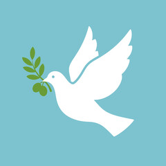 White dove carrying an olive branch on a light blue background.