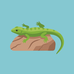Green lizard resting on a rock against a light blue background.