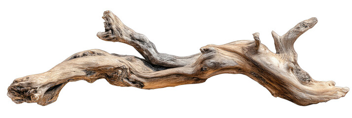 Fototapeta premium Driftwood, natural curves, and textures
