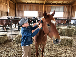Farm Boy Caring for His Pet Pony 115