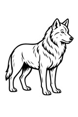 Obraz premium Majestic wolf standing alert, a powerful symbol of nature, wilderness, and untamed spirit