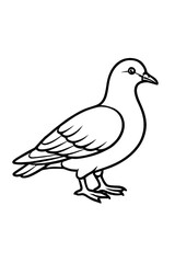 Charming black and white line art of a pigeon standing alert against a clean white background