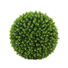 Perfect Spherical Greenery: Lush Green Plant Sphere for Design