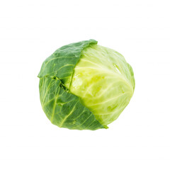 Fototapeta premium Vibrant green cabbage with tightly packed leaves on transparent background