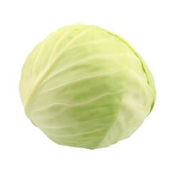 Fototapeta premium Fresh head of cabbage with tightly packed leaves on transparent background
