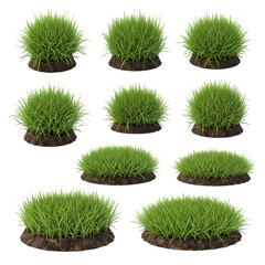 Twelve Lush Green Grass Tufts: Perfect for Landscaping Designs