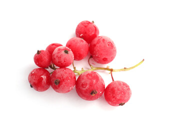 Red frozen currant berries isolated on white