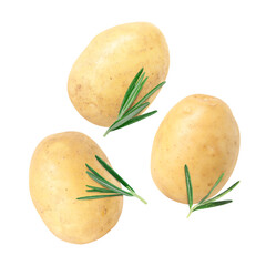 Fresh ripe potatoes and rosemary falling on white background