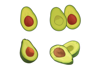 Avocado vectorart