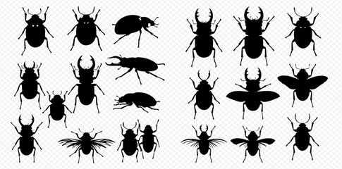 A diverse collection of black insect silhouettes, including various types of beetles like stag and rhinoceros, shown from top and side views on a transparent background.