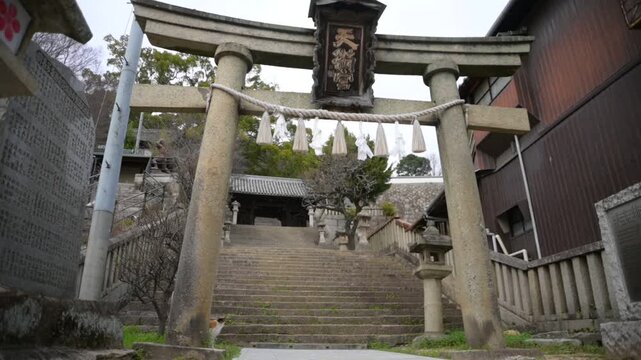 御袖天満宮の参道でくつろぐ地域猫 （広島県尾道市, 2025年4月）