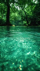 Fototapeta premium Crystal-clear turquoise water reflecting lush forest