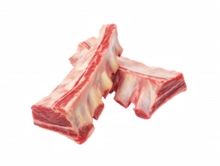 Two raw rib bones with fat and connective tissue on transparent background