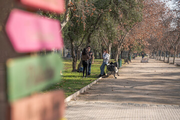people riding bikes in park