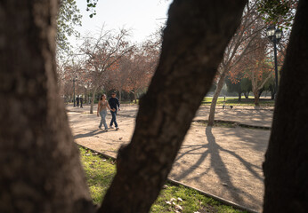 young couple walking in the park