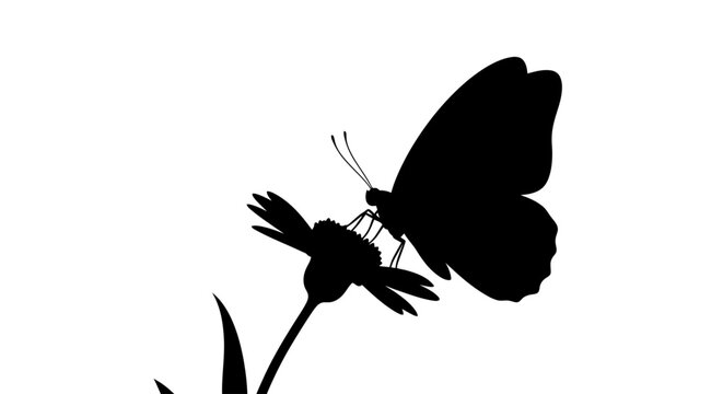 elegant butterfly silhouette on flower perfect for nature eco and minimalist designs adding a touch of serenity and grace to your projects