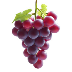 bunch of grapes