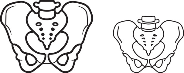 Black and white vector illustration of two human pelvic bones.