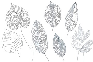 Obraz premium Leaf Silhouettes Set – Botanical Shapes and Nature Design