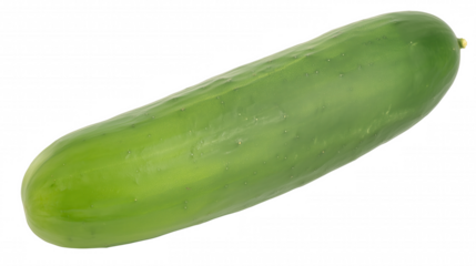 Single fresh cucumber with green stem on transparent background