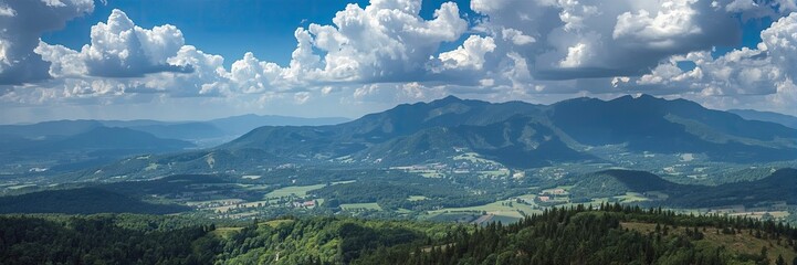 Naklejka premium Expansive mountain vista with lush valleys and a dramatic sky.