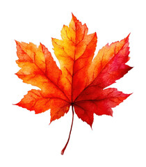 Fototapeta premium PNG Floating maple leaf illustration transparent background.