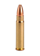 bullets on white background