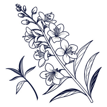 floral background with angelonia salicariifolia