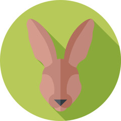Obraz premium Wild Hare Animal