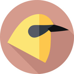 Bird Insect Catching