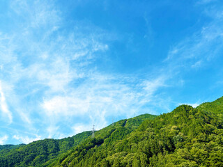 緑あふれる山の木々と穏やかな空模様