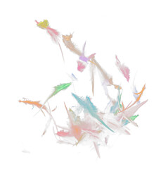 Many color Feather fly fall in Air over black background isolated. Puffy Fluffy soft feathers as purity smooth like dream floating dove in sky. Angle flying from heaven, photo motion studio lighting