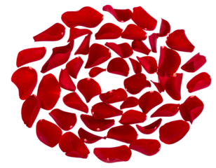 Red flower petals arranged in a spiral swirl pattern suggesting a sense of motion