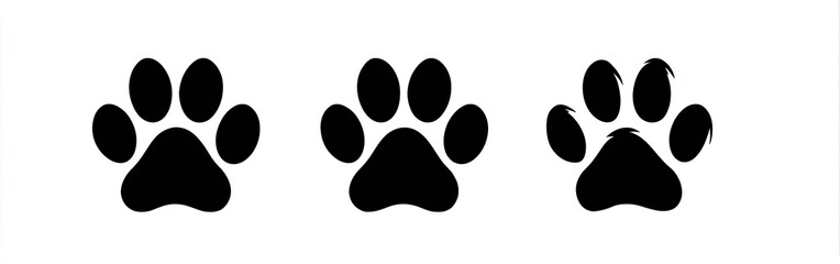 Three black animal paw prints on a white background (1)