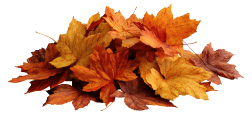 A pile of vibrant autumn leaves in various shades of orange, red, and yellow