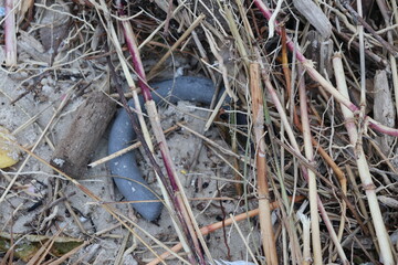 Lixo plástico abandonado na praia
