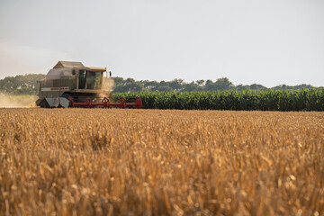 Fototapeta premium Idyllic scenes of harvester on barley filed at sunset