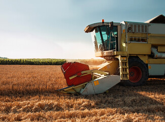Obraz premium Idyllic scenes of harvester on barley filed at sunset