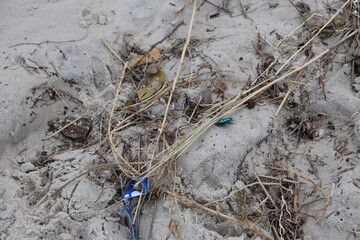 Lixo plástico abandonado na praia
